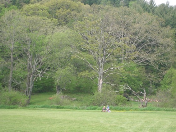 0705121m 2007.