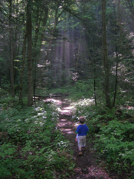 0705262m 2007.